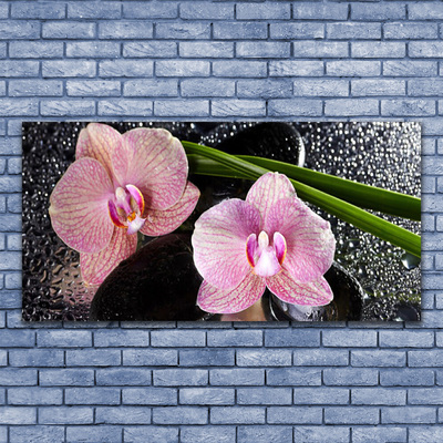 Obraz Canvas Kwiaty Orchidea Storczyk Zen