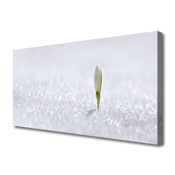 Zdjęcie na płótnie Kaskada nad Błękitną Zatoką