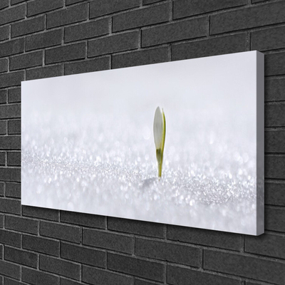 Zdjęcie na płótnie Kaskada nad Błękitną Zatoką