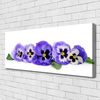 Obraz Canvas Płatki Kwiat Bratki