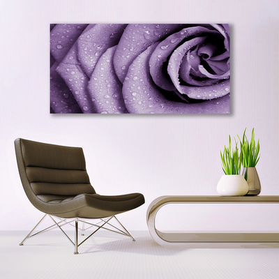 Obraz Canvas Róża Kwiat Roślina