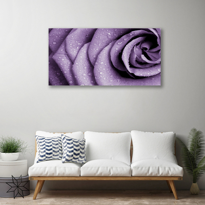 Obraz Canvas Róża Kwiat Roślina