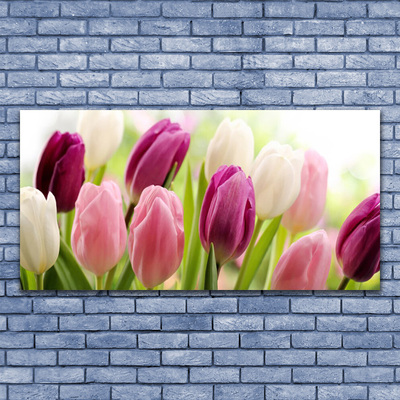 Obraz Canvas Tulipany Kwiaty Natura Łąka