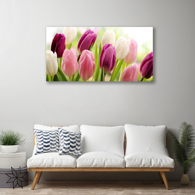 Obraz Canvas Tulipany Kwiaty Natura Łąka