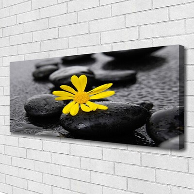 Obraz Canvas Żółty Kwiat Spa Przyroda