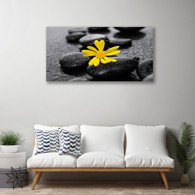 Obraz Canvas Żółty Kwiat Spa Przyroda