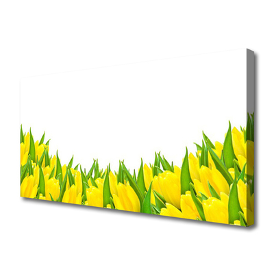 Obraz Canvas Kwiaty Natura Tulipany