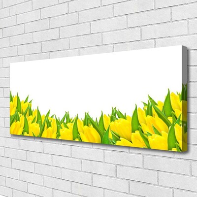 Obraz Canvas Kwiaty Natura Tulipany