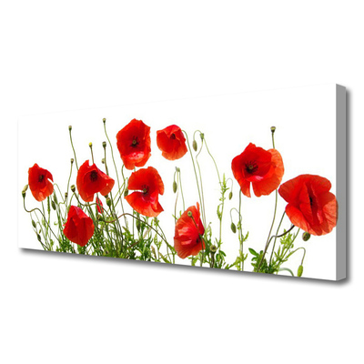 Obraz canvas na ścianę Polne Maki w Rozkwicie