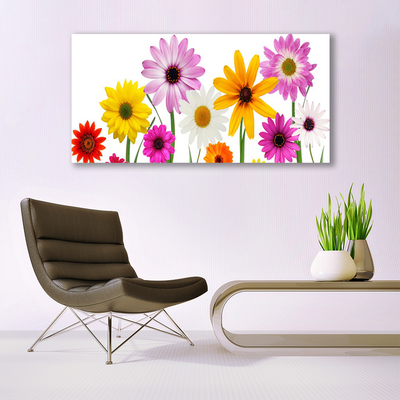Obraz Canvas Kolorowe Kwiaty Natura