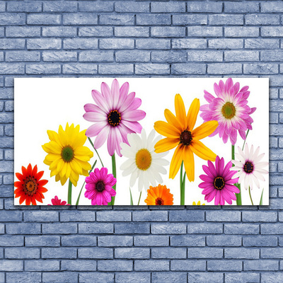 Obraz canvas na ścianę Radosna Łąka Pełna Kwiatów