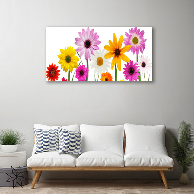 Obraz Canvas Kolorowe Kwiaty Natura