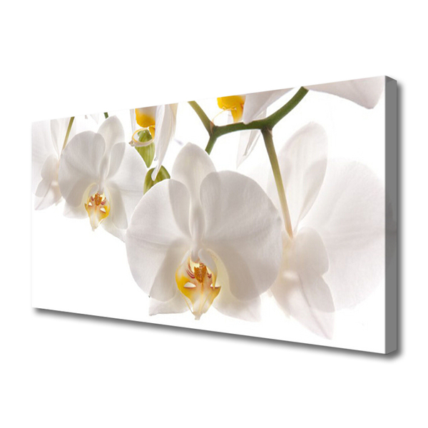 Obraz canvas na ścianę Egzotyczna Orchidea w Detalu