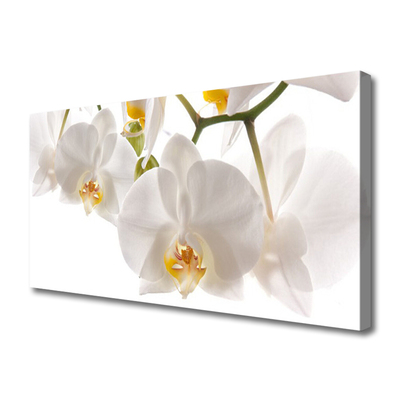 Obraz canvas na ścianę Egzotyczna Orchidea w Detalu