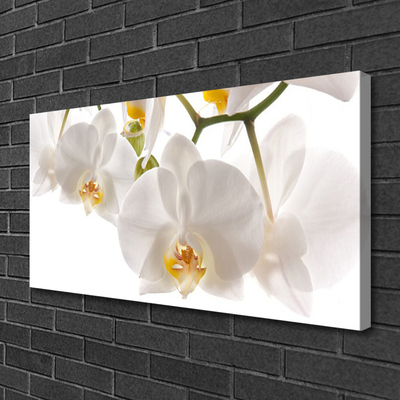 Obraz canvas na ścianę Egzotyczna Orchidea w Detalu