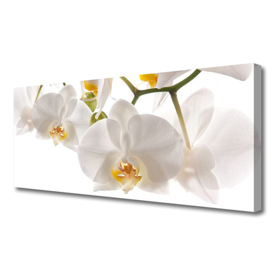 Obraz canvas na ścianę Egzotyczna Orchidea w Detalu