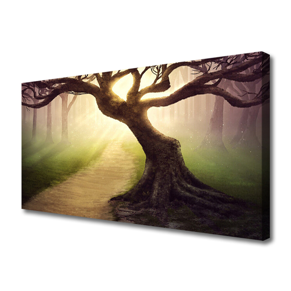 Obraz canvas na ścianę Promienie Słońca w Koronie Drzewa