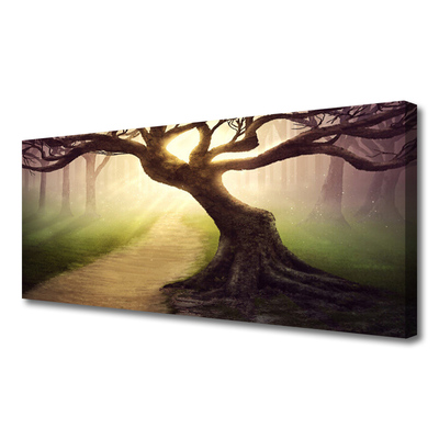 Obraz canvas na ścianę Promienie Słońca w Koronie Drzewa
