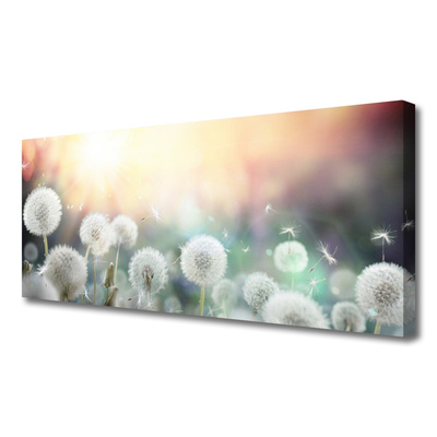 Obraz canvas Lekkość Polnych Dmuchawców