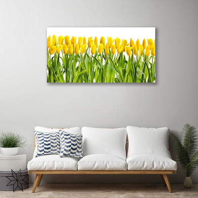 Obraz Canvas Tulipany Kwiaty Natura