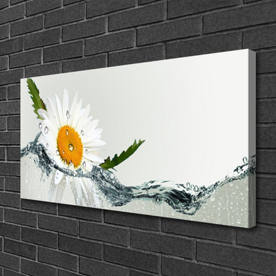 Obraz Canvas Stokrotka w wodzie Roślina