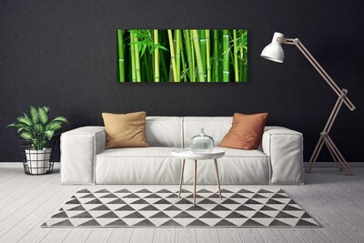 Obraz Canvas Las Bambusowy Bambus Natura