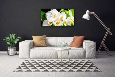 Obraz canvas Królewska Orchidea w Rozkwicie