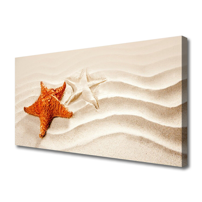 Obraz Canvas Rozgwiazda na Piasku Plaża
