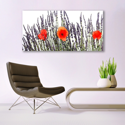 Obraz Canvas Kwiaty Maki Pole Trawy