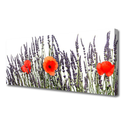 Obraz drukowany na płótnie Maki Tańczące na Wietrze