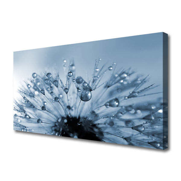 Obraz canvas Dmuchawiec w Porannej Rosie