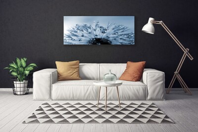 Obraz canvas Dmuchawiec w Porannej Rosie