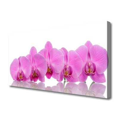 Obraz canvas Różowa Orchidea w Zbliżeniu