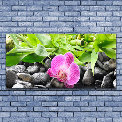 Obraz canvas Wyrafinowana Orchidea Doniczkowa