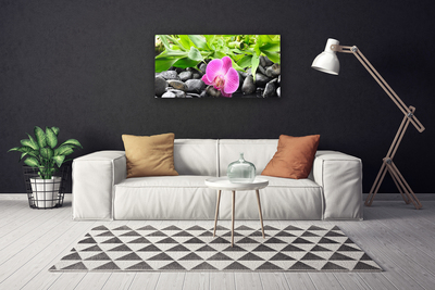 Obraz Canvas Kwiaty Orchidea Roślina