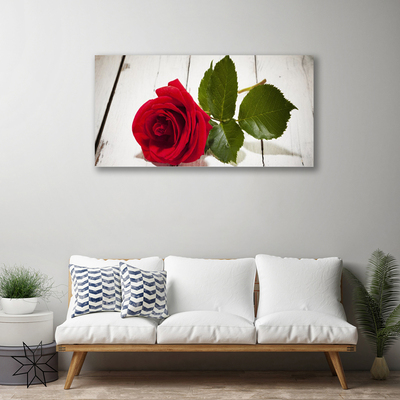 Obraz Canvas Róża Kwiat Roślina Natura