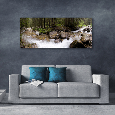 Obraz Canvas Las Rzeka Wodospady