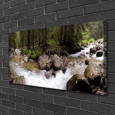 Obraz Canvas Las Rzeka Wodospady
