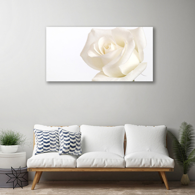 Obraz Canvas Róża Kwiaty