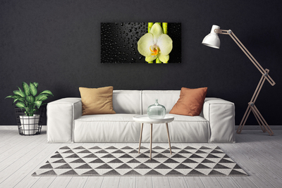 Duży obraz na płótnie Harmonijna Kompozycja Botaniczna