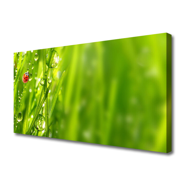 Obraz canvas Biedronka na Zielonym Źdźble