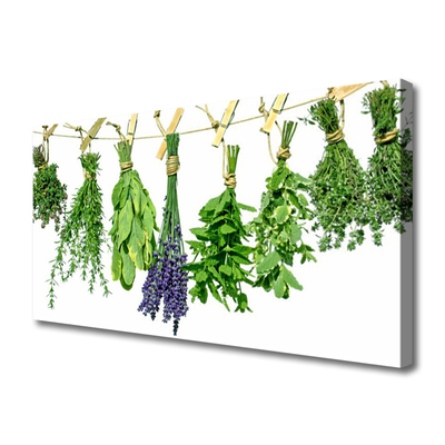 Obraz canvas na ścianę Płatki Ziół i Kwiatów