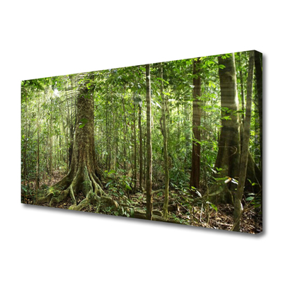 Obraz Canvas Las Natura Dżungla Drzewa