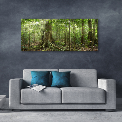 Obraz Canvas Las Natura Dżungla Drzewa