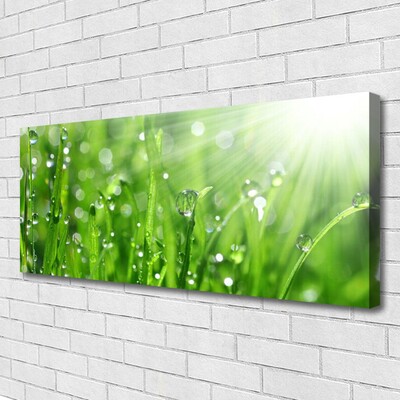 Obraz canvas Krople Rosy na Trawie