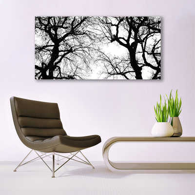 Obraz Canvas Drzewa Natura Czarno-Biały