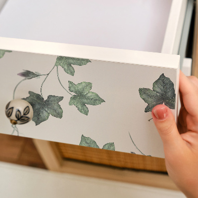 Folia na meble Liście bluszczu