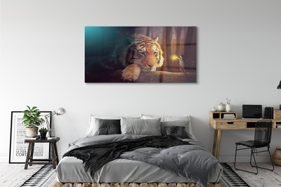 Obraz na szkle Tygrys las człowiek