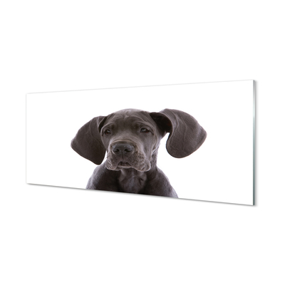 Obraz na szkle Brązowy pies
