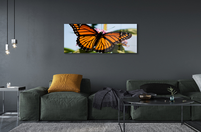 Obraz na szkle Kolorowy motyl